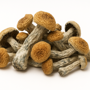Melmac Whole Mushrooms Ceremony - 1/4 oz (7 grams) Guide
